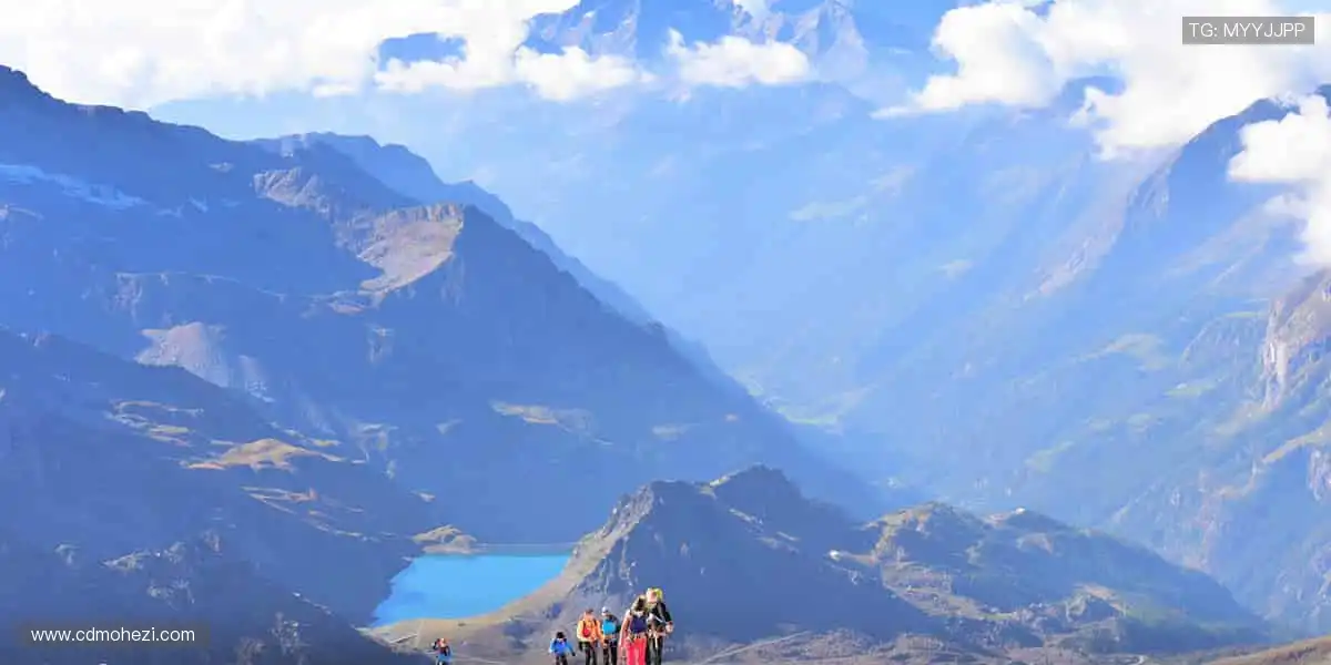 👕 限量周边，穿上它，你就是赛场最靓的崽！